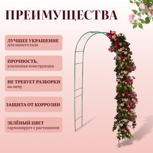 Арка садовая, 240×120×36.5 см, для вьющихся растений, металлическая, зелёная, «Веточка», Greengo
