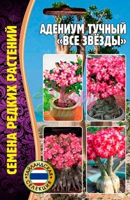 Цветы Адениум Все Звезды (3 шт) ЭКЗОТИКА Комнатные