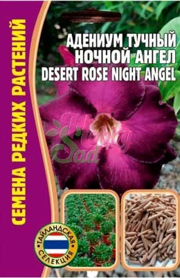 Цветы Адениум Ночной Ангел Desert Rose (3 шт) ЭКЗОТИКА Комнатные