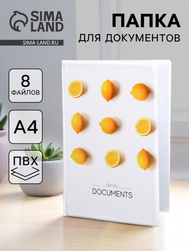Папка для семейных документов Docs, 8 файлов А4