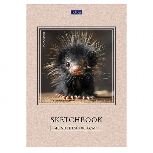 Блокнот SketchBook 40л А5ф 