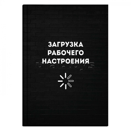 Записная книжка А6+, 96 л., 