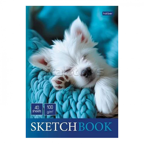 Блокнот SketchBook 40л А5ф 