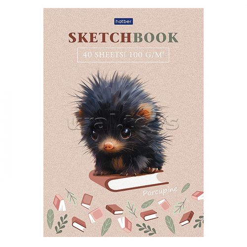 Блокнот SketchBook 40л А5ф 