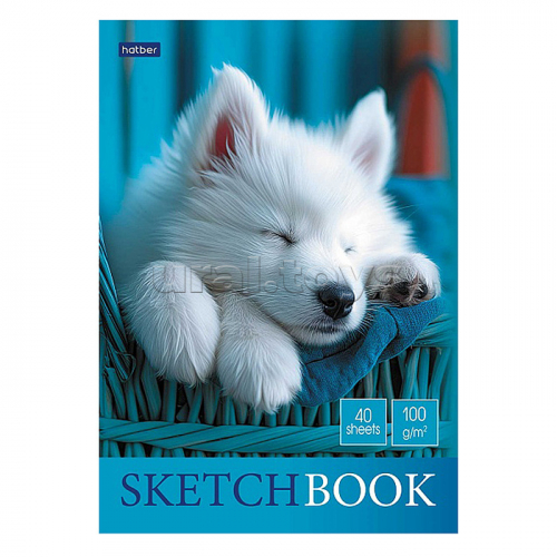 Блокнот SketchBook 40л А5ф 