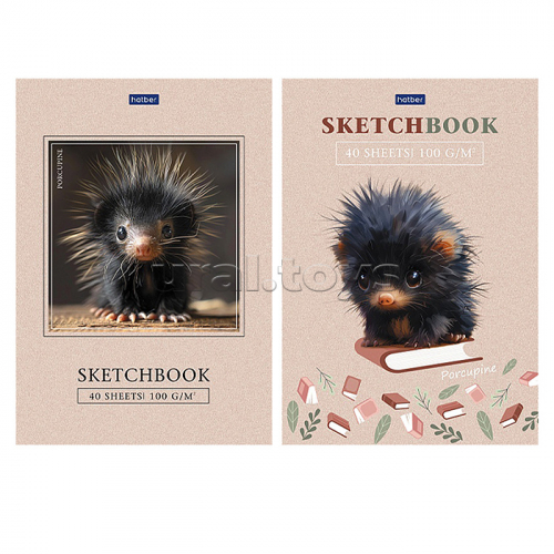 Блокнот SketchBook 40л А5ф 