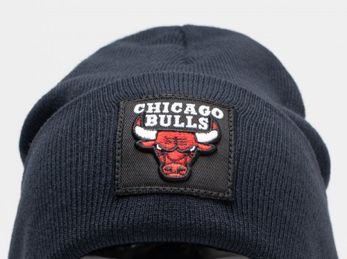 Шапка Chicago Bulls