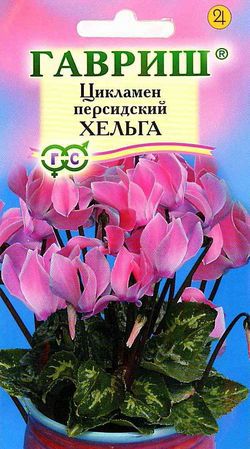 Цветы Цикламен перс. Хельга 3 шт ц/п Гавриш (комн.)