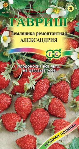 ягоды Земляника Александрия 0,03 г ц/п Гавриш, ремонтантная, безусая
