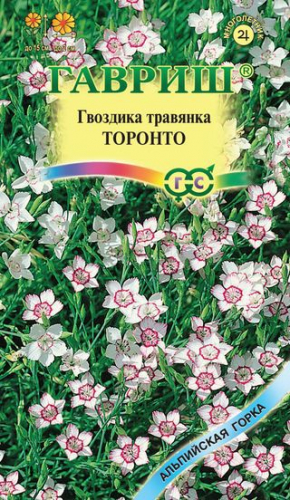 Цветы Гвоздика травянка Торонто 0,05 г ц/п Гавриш (мног.)