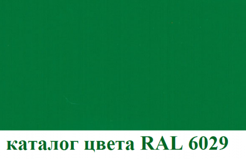 RAL-6029