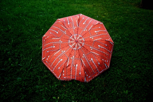 Зонт женский  авт  Арт. 771