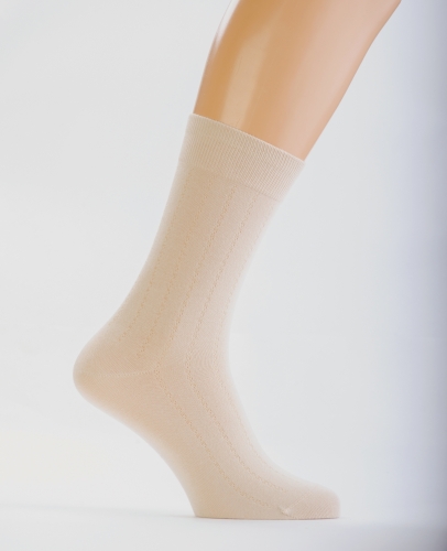 С520 Мужские демисезонные носки