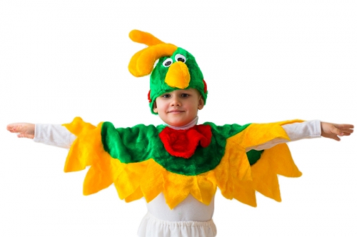 Карнавальный костюм Попугай