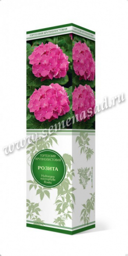 Гортензия крупнолистовая Розита (цветки розовые)
