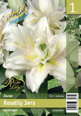 ЛИЛИЯ ROSELILY ЗИТА (В упаковке 5 шт.)