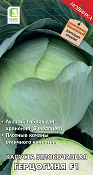 Капуста Герцогиня F1 0,2 г ц/п Поиск, хранение 8 месяцев