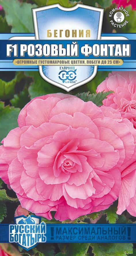 Цветы Бегония Розовый фонтан F1 4 шт ц/п Гавриш (комн.)