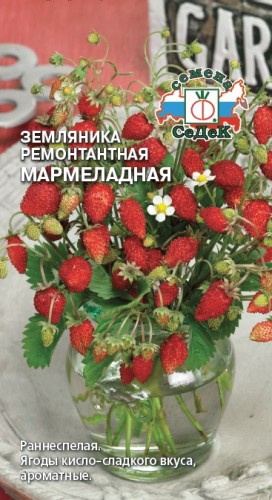 ягоды Земляника Мармеладная 0,04 г ц/п Седек (ремонтантная)