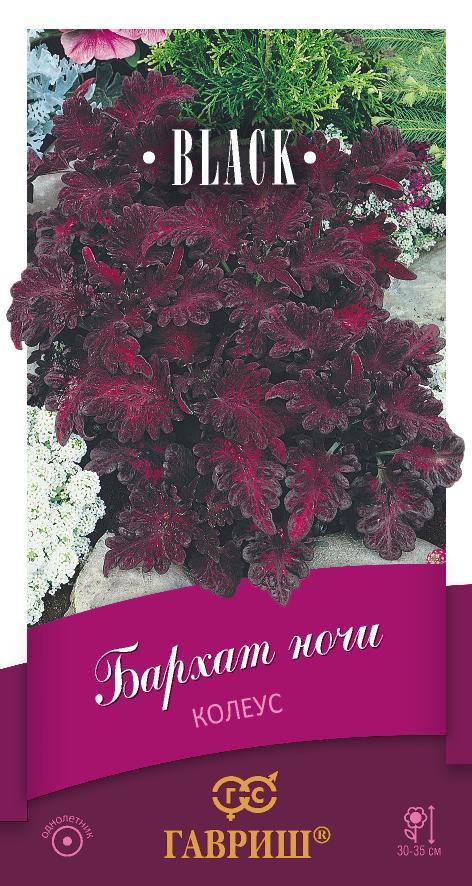 Цветы Колеус Бархат ночи 4 шт ц/п Гавриш (комн.)