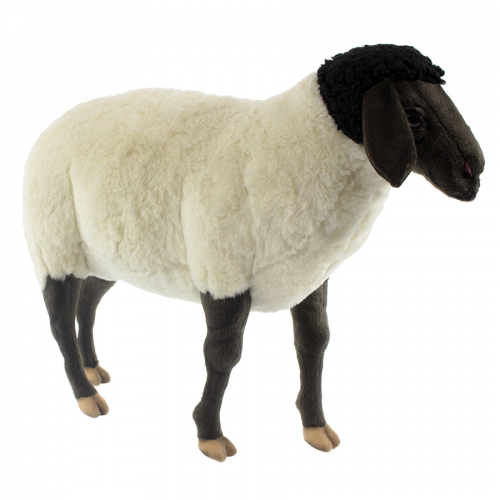7065 Суффолкская овечка, 65 см