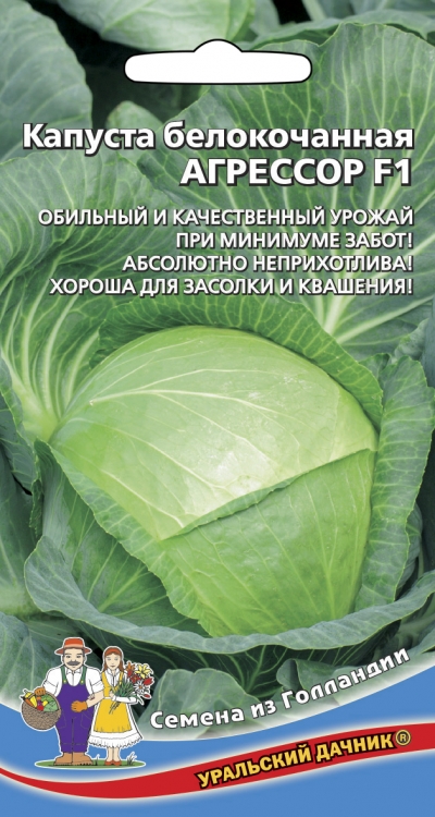 Капуста Сорт Агрессор Характеристика И Отзывы Фото