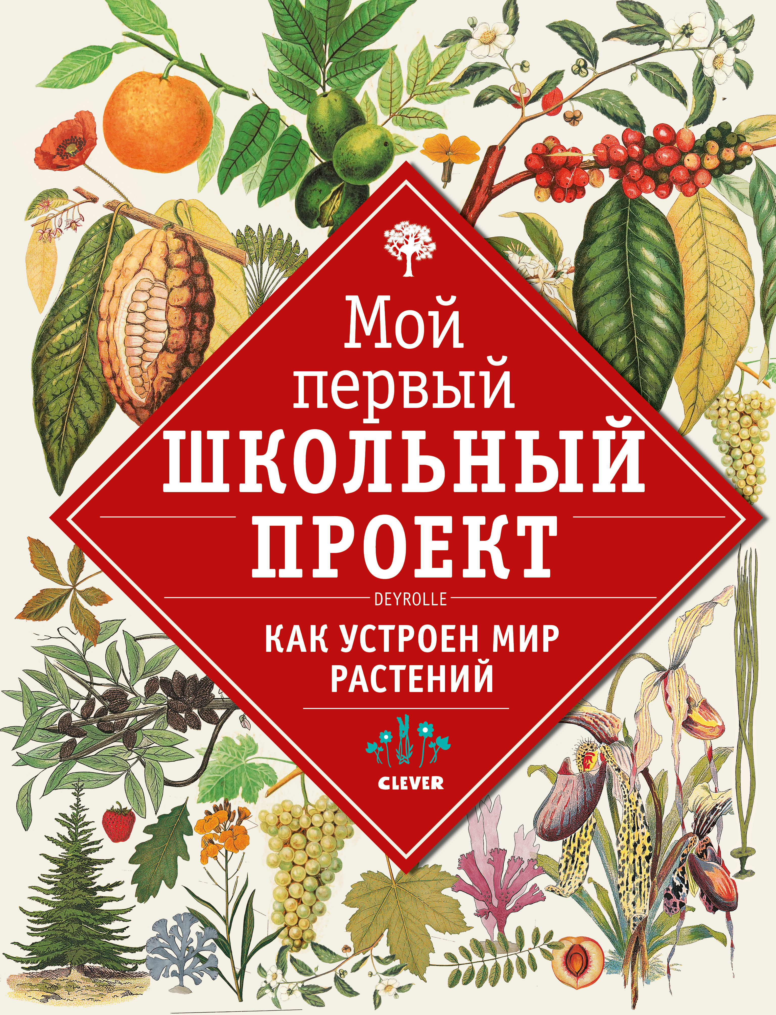 Энциклопедия растений с картинками