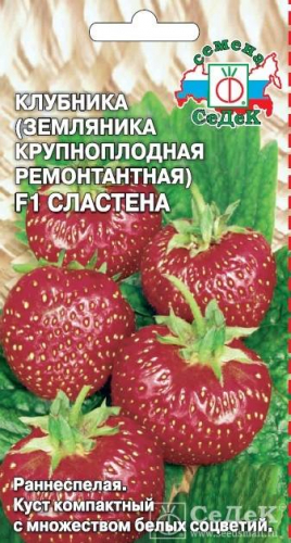 ягоды Клубника Сластена F1, 15 шт ц/п Седек (ремонтантная)
