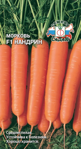 Морковь Нандрин F1 100 шт ц/п Седек
