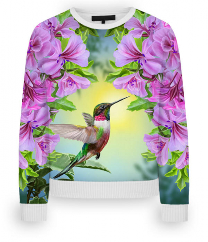 Свитшот женский Сказочный колибри