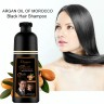 DISAAR Шампунь Оттеночный ARGAN OIL of Morocco для Мужчин и Женщин ЧЕРНЫЙ (Black Hair) 400мл (DS-51942)