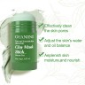 GUANJING  Маска для лица Стик CLAY MASK Глиняная Очищающая ЗЕЛЁНЫЙ ЧАЙ  40г  (GJ-7048)
