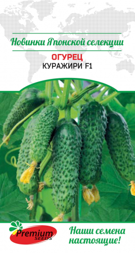 Огурец КУРАЖИРИ F1, 5 шт., (IKASIDO Global Group B.V. Япония)