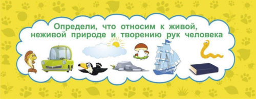Умный веер. Окружающий мир: основные понятия + занимательные задания. ФГОС ДО