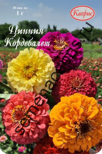 Циния Кордебалет смесь(20пак. по 1г )