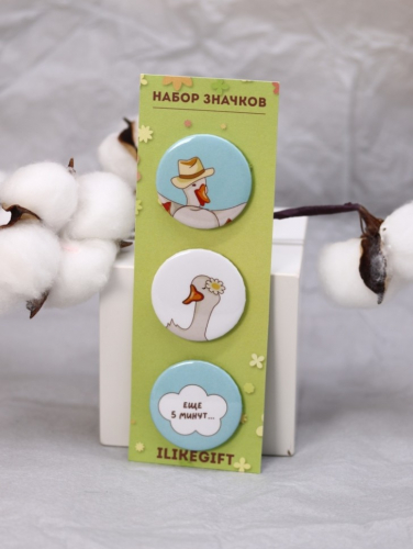Набор значков 3 шт. iLikeGift 