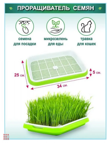 Лоток-Проращиватель семян и микрозелени, 33х25х4см