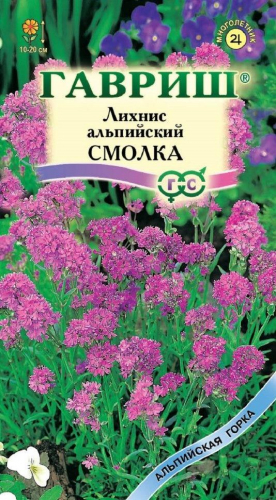 Цветы Лихнис Смолка альпийский 0,05 г ц/п Гавриш (мног.)