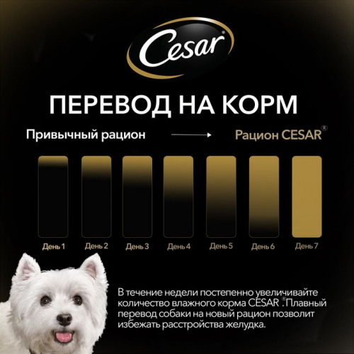 Влажный корм Cesar для собак, курица/зеленые овощами, пауч,  85 г