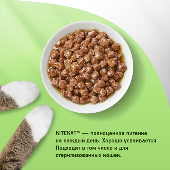 Влажный корм KiteKat для кошек, рыба в соусе, пауч, 85 г