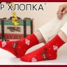 МАСТЕР ХЛОПКА Носки Мужские в КОРОБОЧКЕ (2 пары) Хлопок 