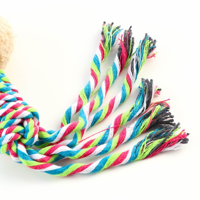 Игрушка с погремушкой мягкая для собак «Медведь» белый, 24 см