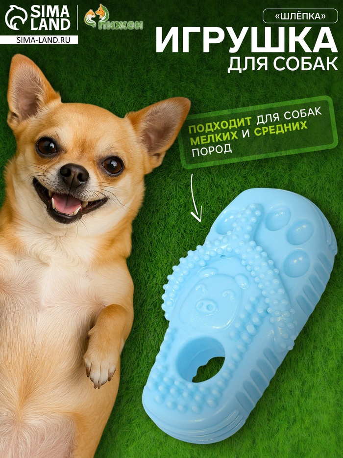 Игрушка для собак «Шлёпка», TPR, массажная, 12×6.2 см, голубая