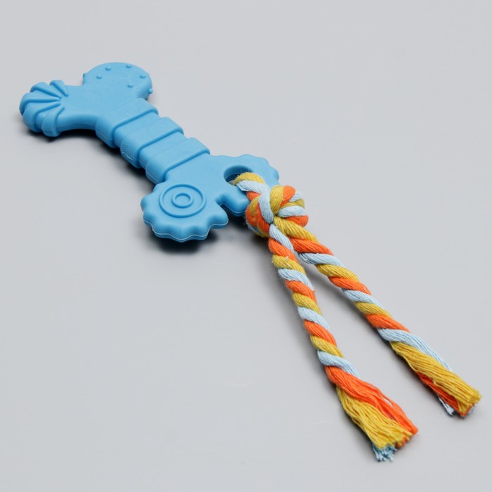 Игрушка жевательная с канатом «Кость с хвостом», синяя