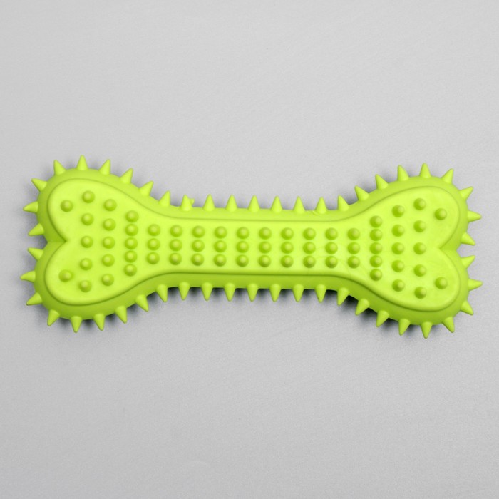 Игрушка жевательная литая «Кость с шипами», 15×6×2.5 см, салатовая