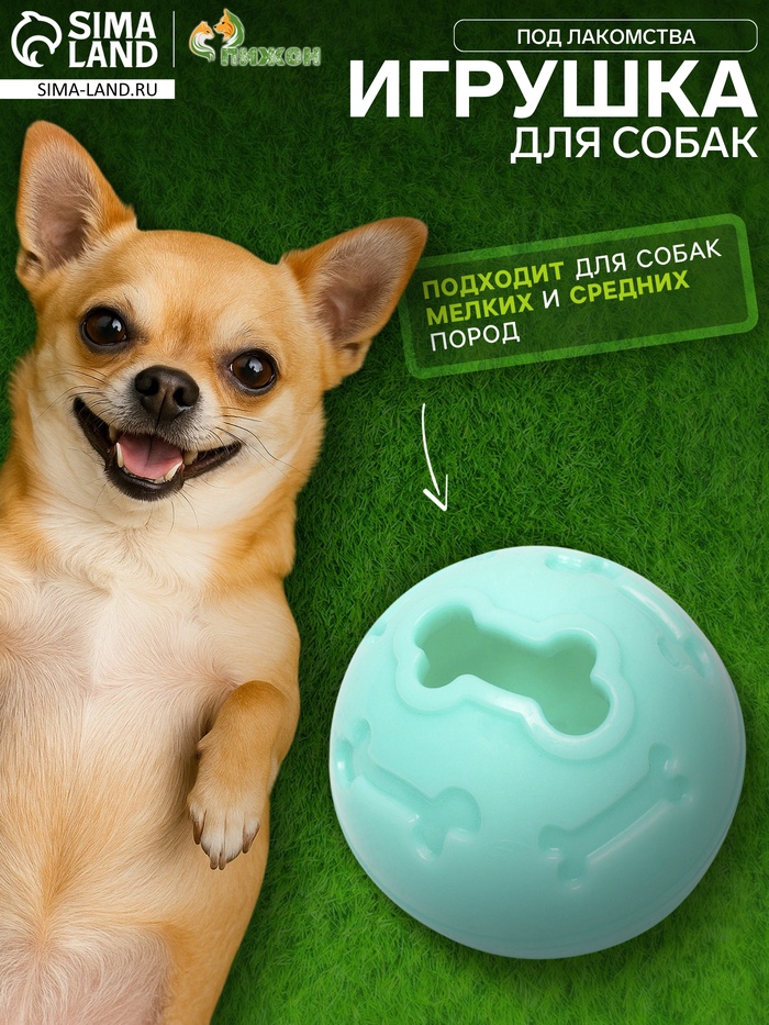 Мяч под лакомства, утолщённый TPR, 7 см, бирюзовый