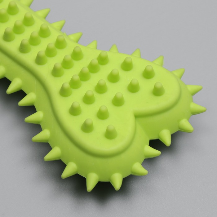 Игрушка жевательная литая «Кость с шипами», 15×6×2.5 см, салатовая