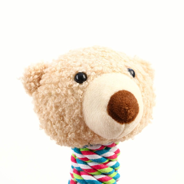 Игрушка с погремушкой мягкая для собак «Медведь» белый, 24 см