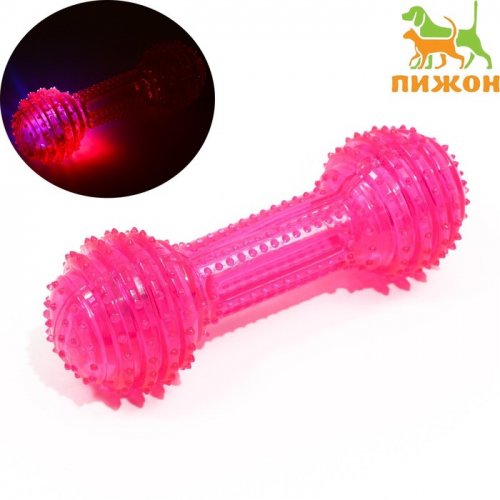 Игрушка светящаяся для собак 