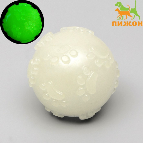 Игрушка для собак, светящаяся в темноте, 